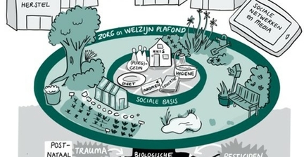 Fragment uit de infographic van het donutmodel uit het boek Donutpsychiatrie